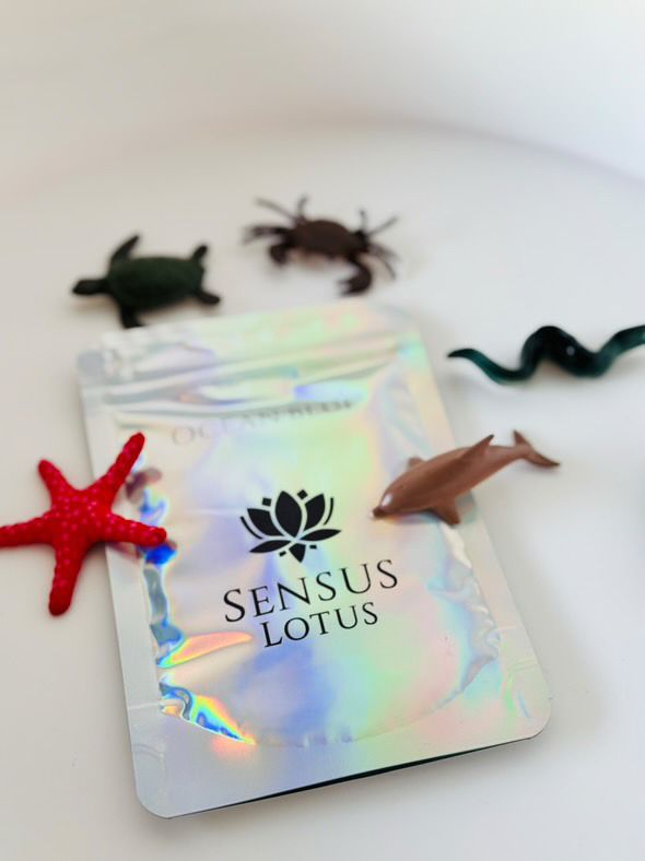 Magical sea creatures