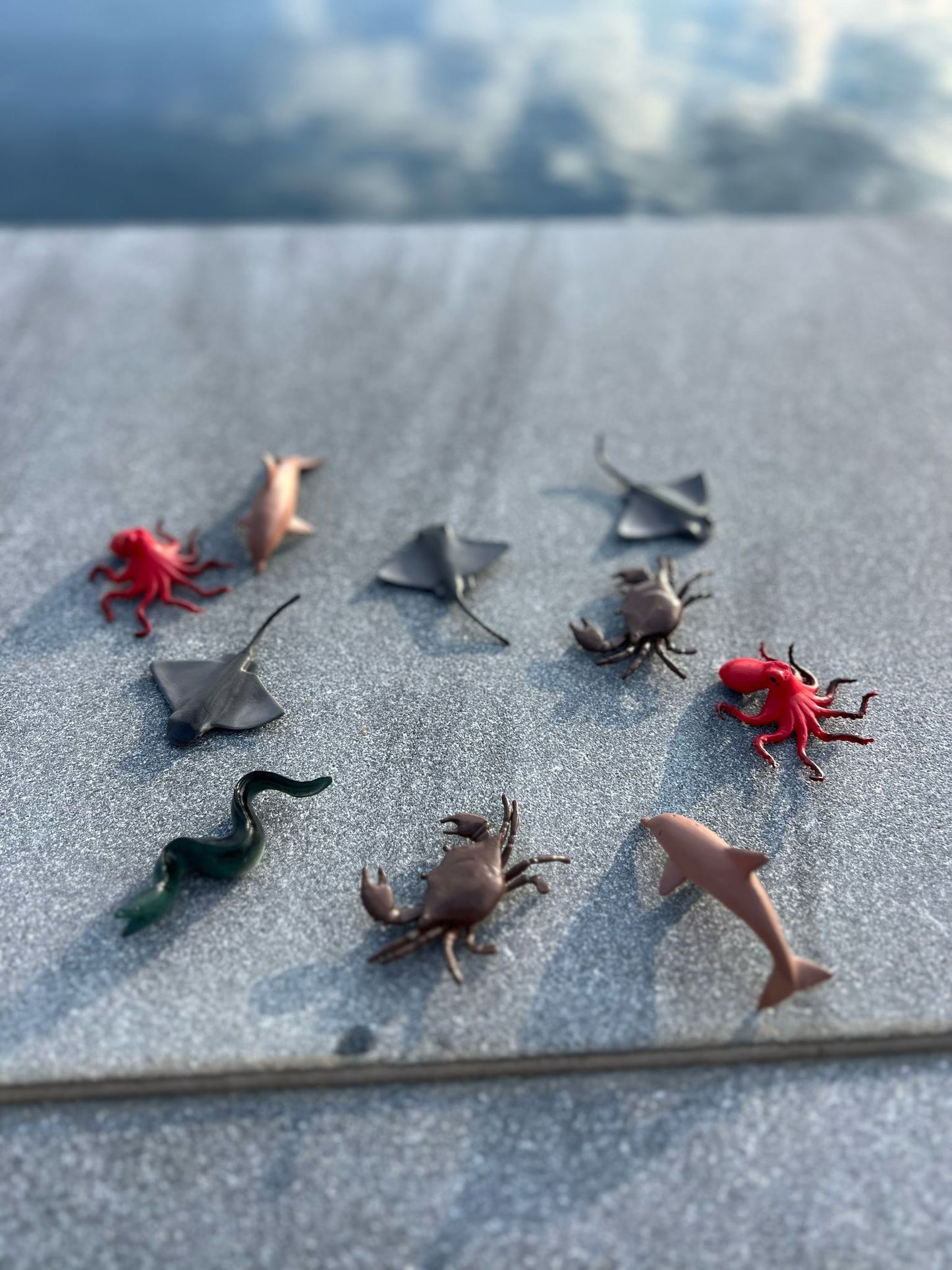 Magical sea creatures