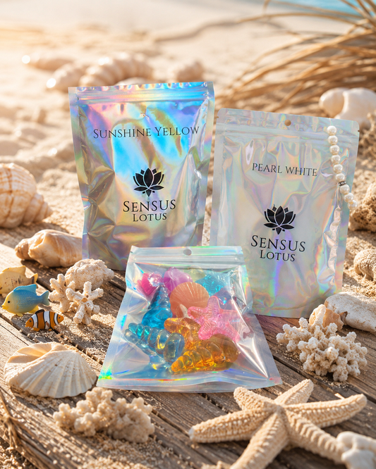 Suhshine beach adventure